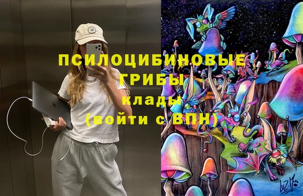 спиды Алексеевка