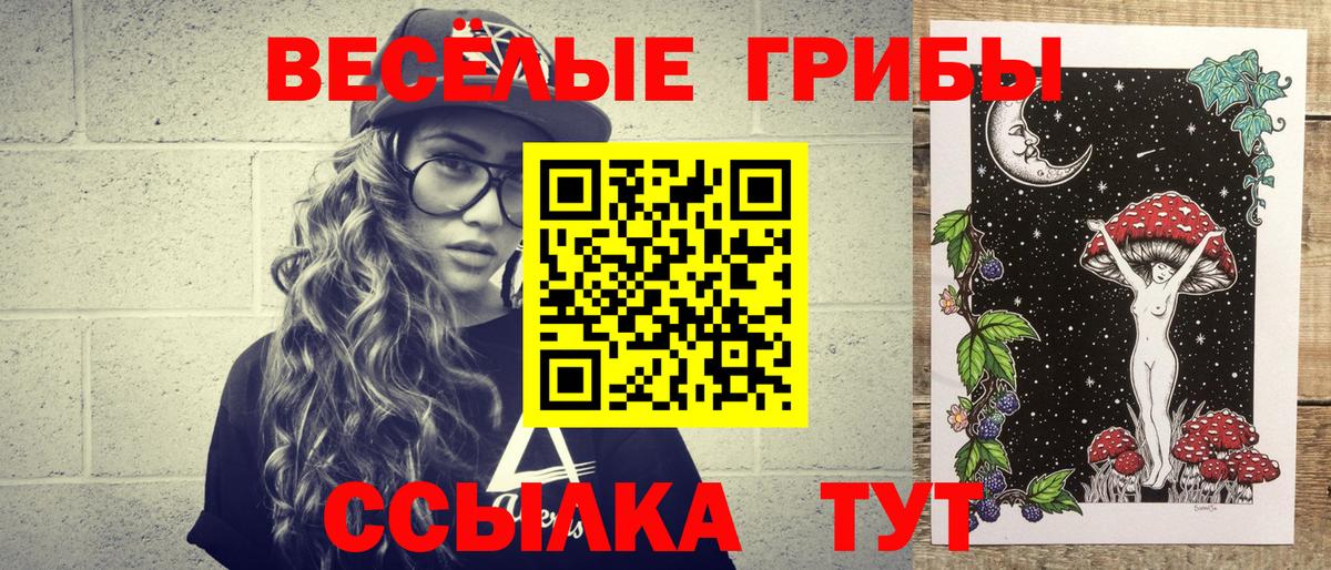 Алексеевка  Галлюциногенные грибы Cubensis  Вход с VPN 